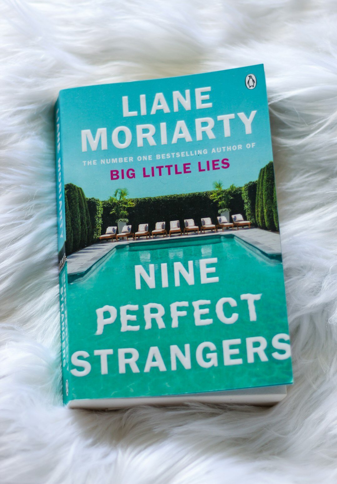 mystery novel book cover